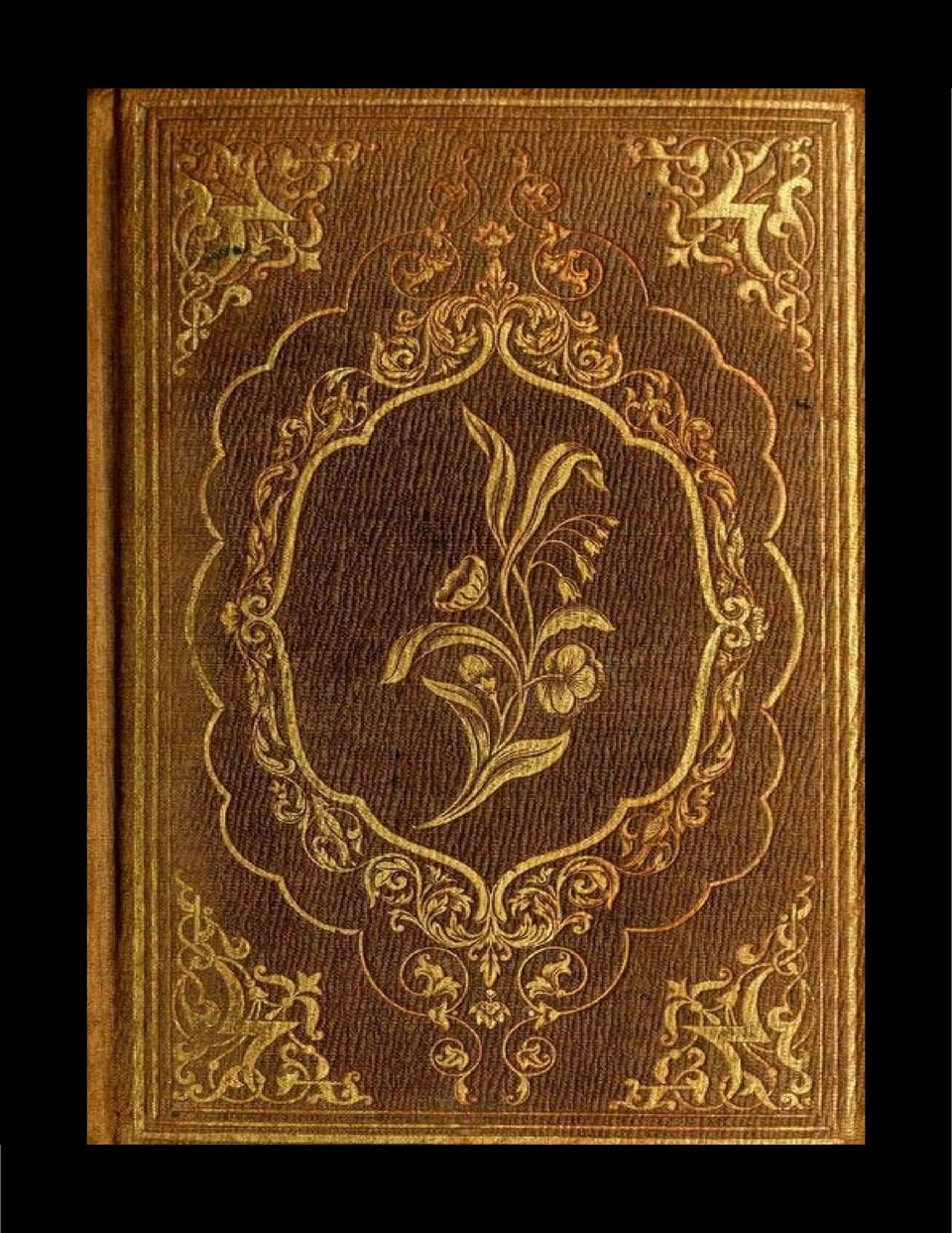 Songs of the Bride