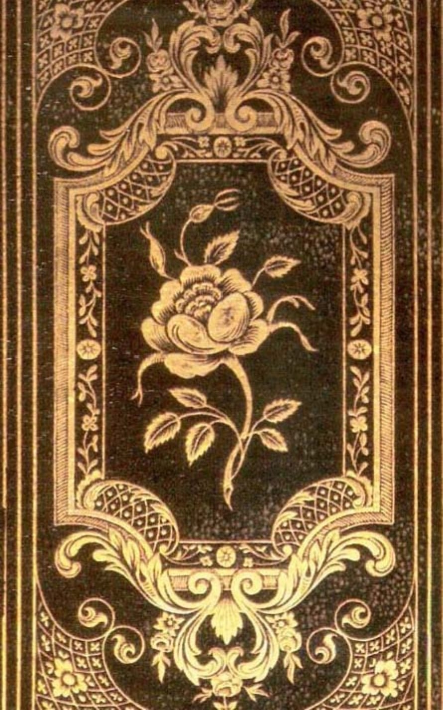 The Sweet-Brier Rose and Other Poems